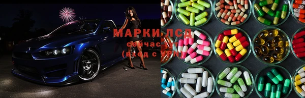 шишки Алексин