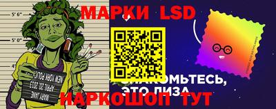 apvp Краснодар