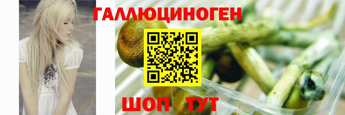 Глазов  Псилоцибиновые грибы мухоморы  Вход с VPN  закладка  Галлюциногенные грибы Psilocybe 